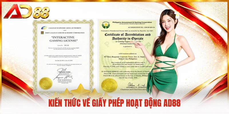 Giấy Phép Hoạt Động AD88 Kiến thức về giấy phép hoạt động AD88
