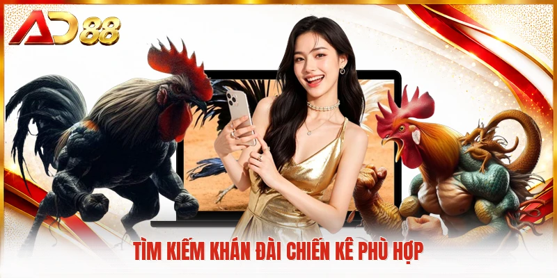 Tìm kiếm khán đài chiến kê phù hợp